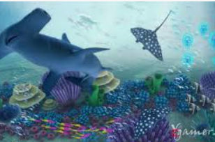 Bsports网页版手机版